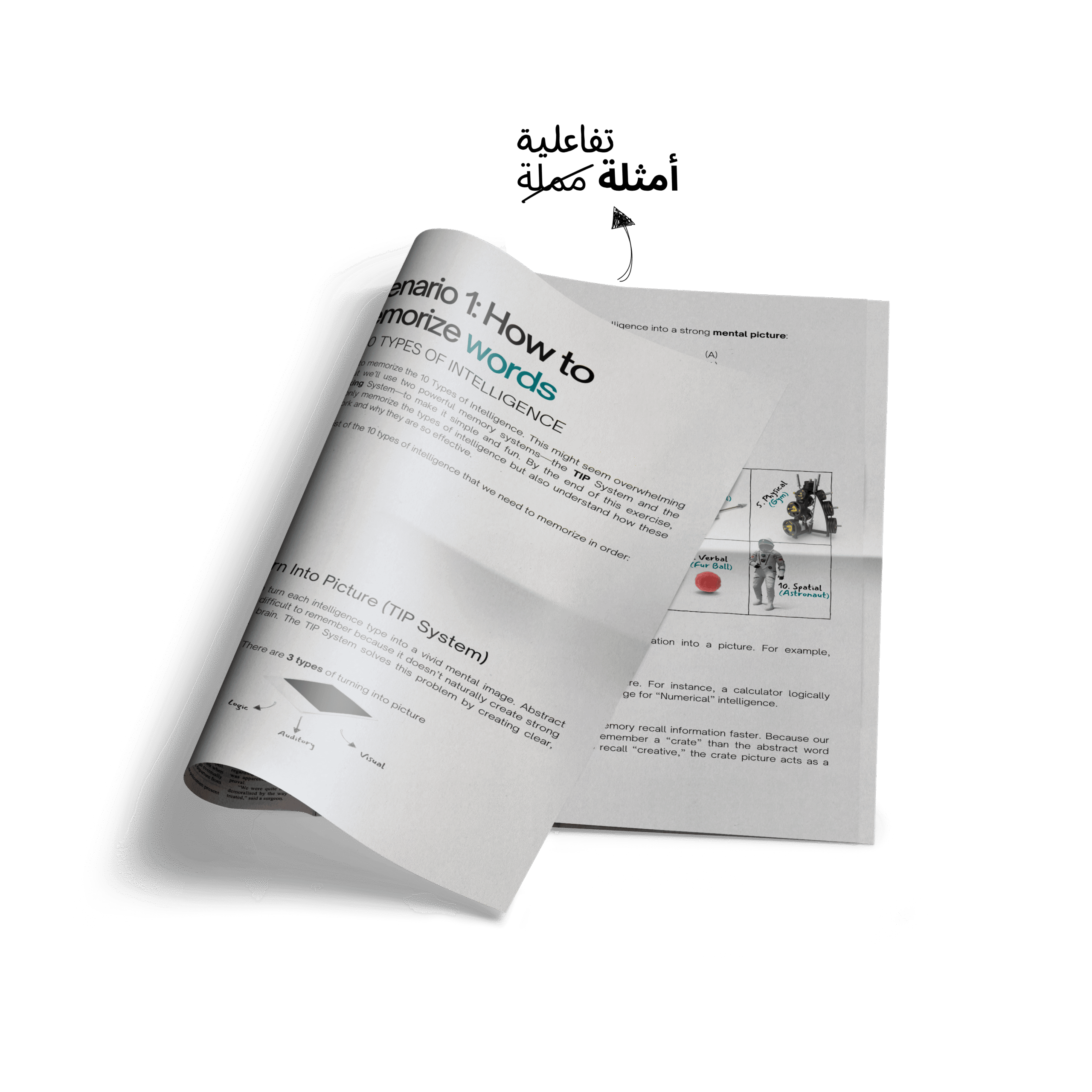 صورة مقربة لدفتر مفتوح يعرض درساً حول تقنيات التذكّر، مع « السيناريو 1: كيف تحفظ الكلمات » ونظام TIP (تحويل المعلومة إلى صورة).