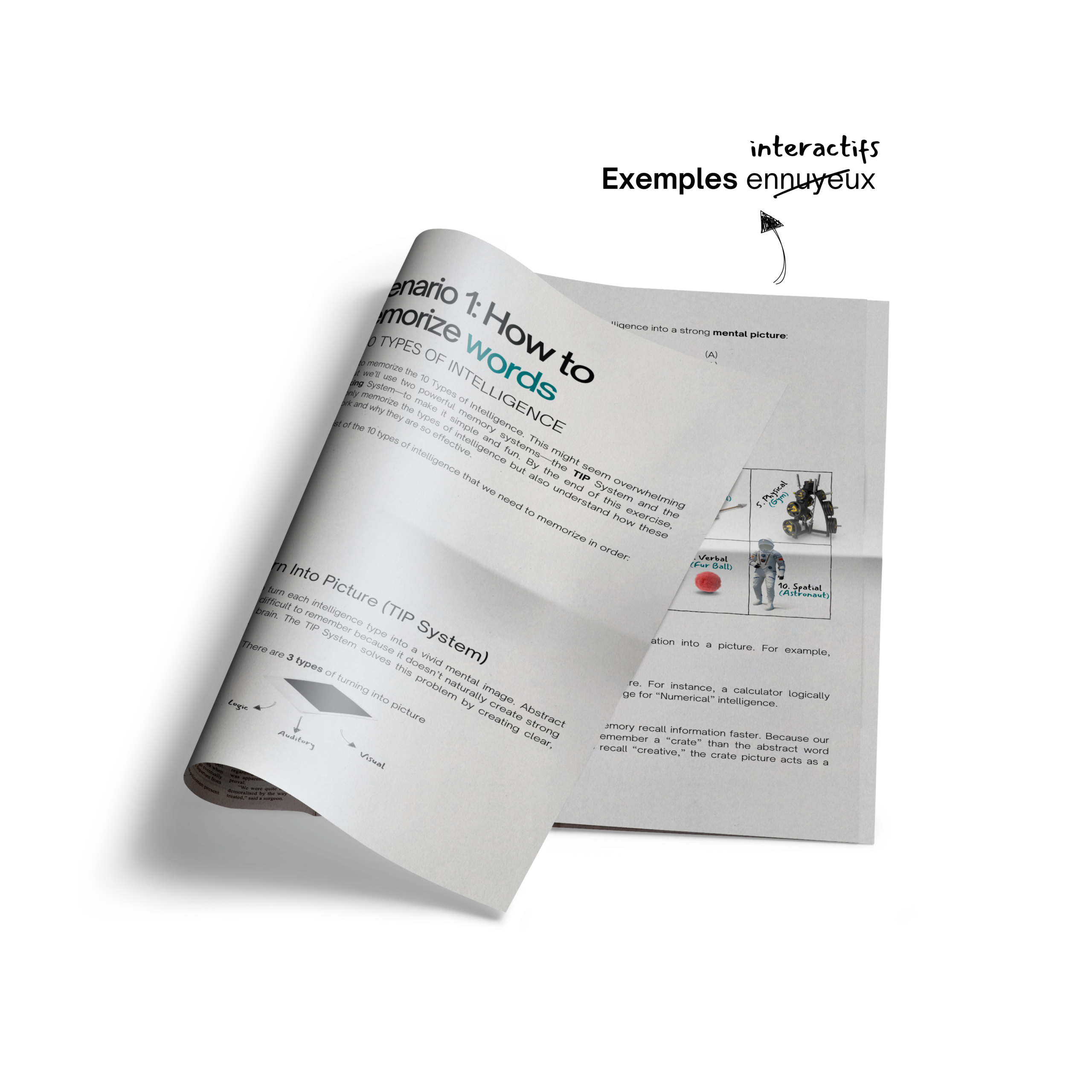 Gros plan sur un livre ou cahier ouvert présentant une leçon sur les techniques de mémorisation. La page visible met en avant « Scénario 1 : Comment mémoriser des mots » et introduit le système TIP (Transformer l’Information en Image) avec du texte et des visuels.