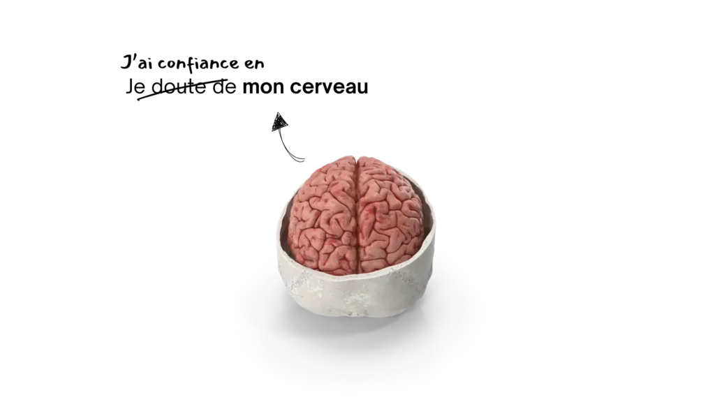 Cerveau humain vu de dessus dans une coupe de crâne, symbole de la confiance en son potentiel cognitif.
